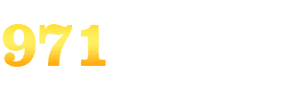 leverkusen x borussia